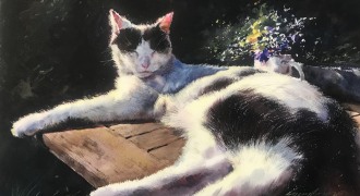 ねこ