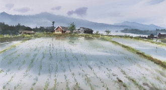 田植え