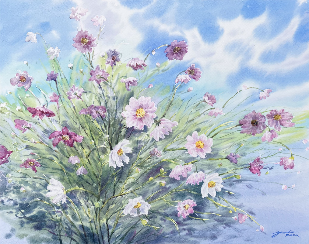 水彩画家 東有達 水彩画で秋桜を描く 水彩画家 Azumas