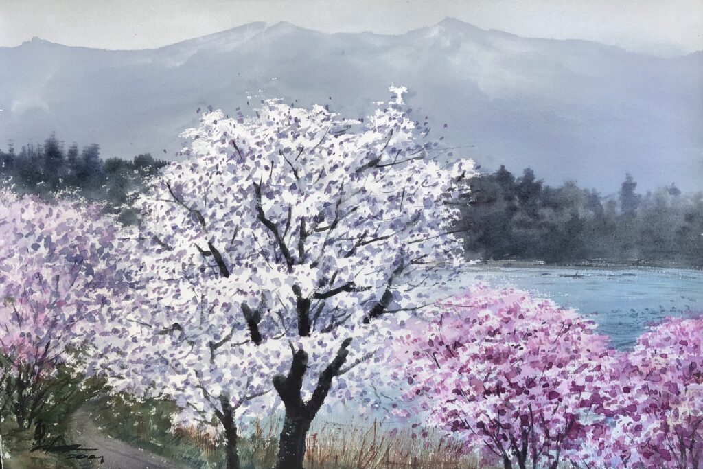 水彩画家東富有 水彩画で桜を描く