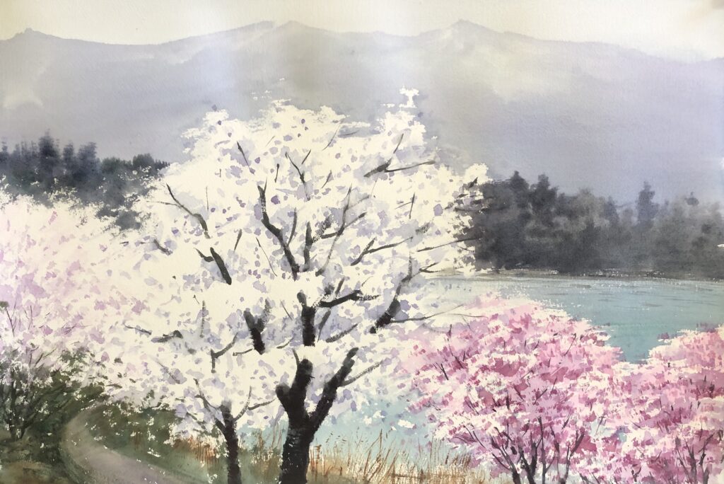水彩画家 東富有 水彩画で桜を描く